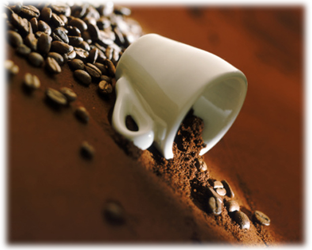 Caffe Point: la nostra azienda Caffe Point: la nostra azienda
